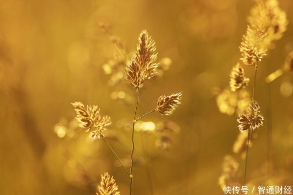配资股网 发力光储充一体化 中环新能源(01735)携手融捷集团打造全球新范式