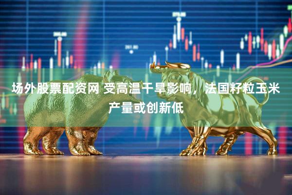 场外股票配资网 受高温干旱影响，法国籽粒玉米产量或创新低